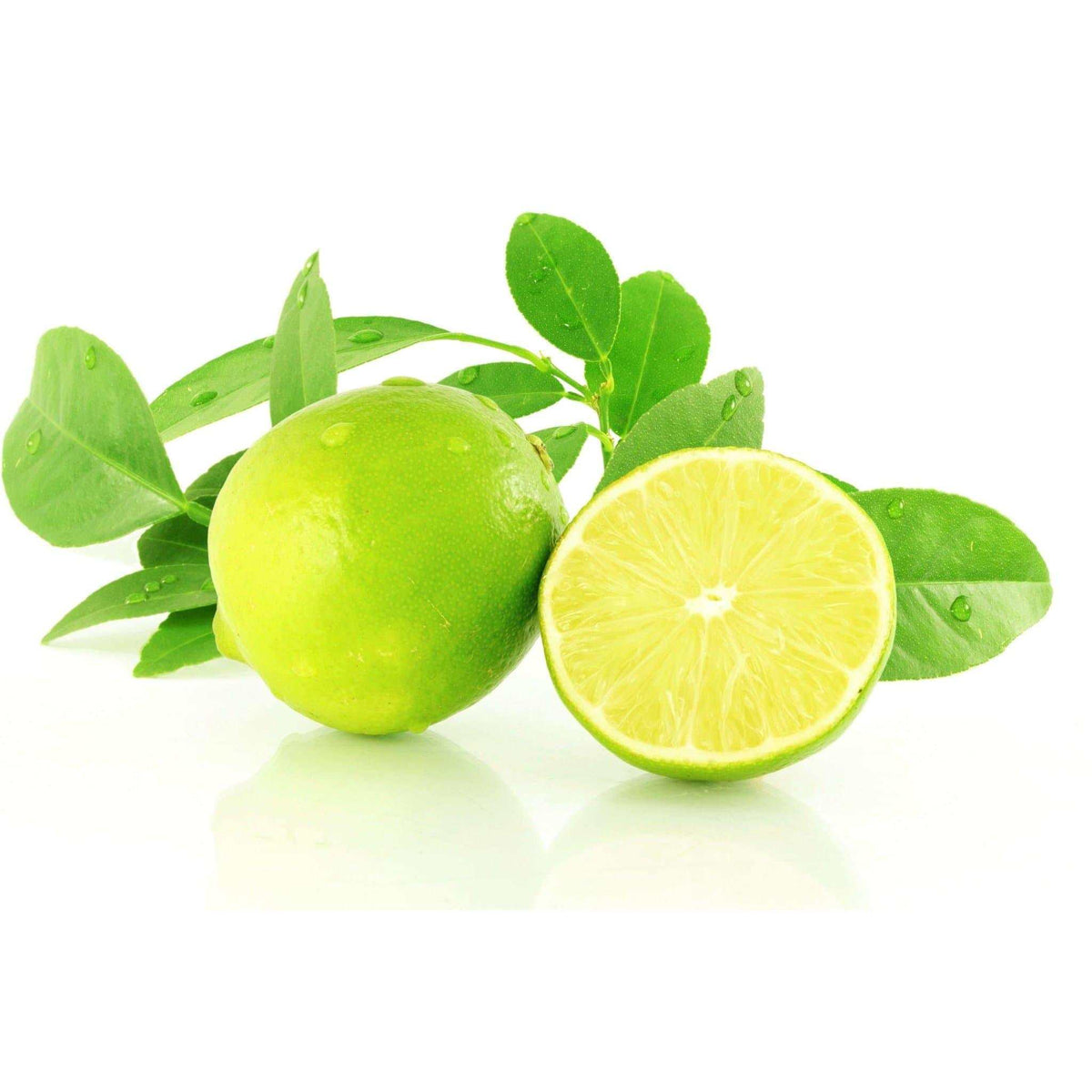 Déodorant Tea Tree et Citron-2