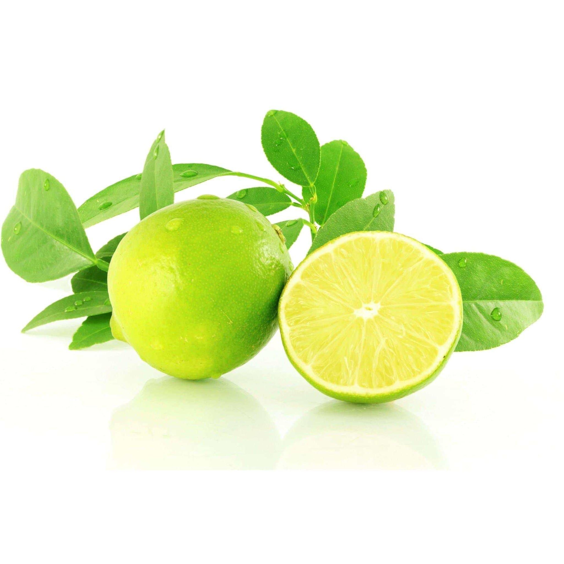 Déodorant Tea Tree et Citron-2