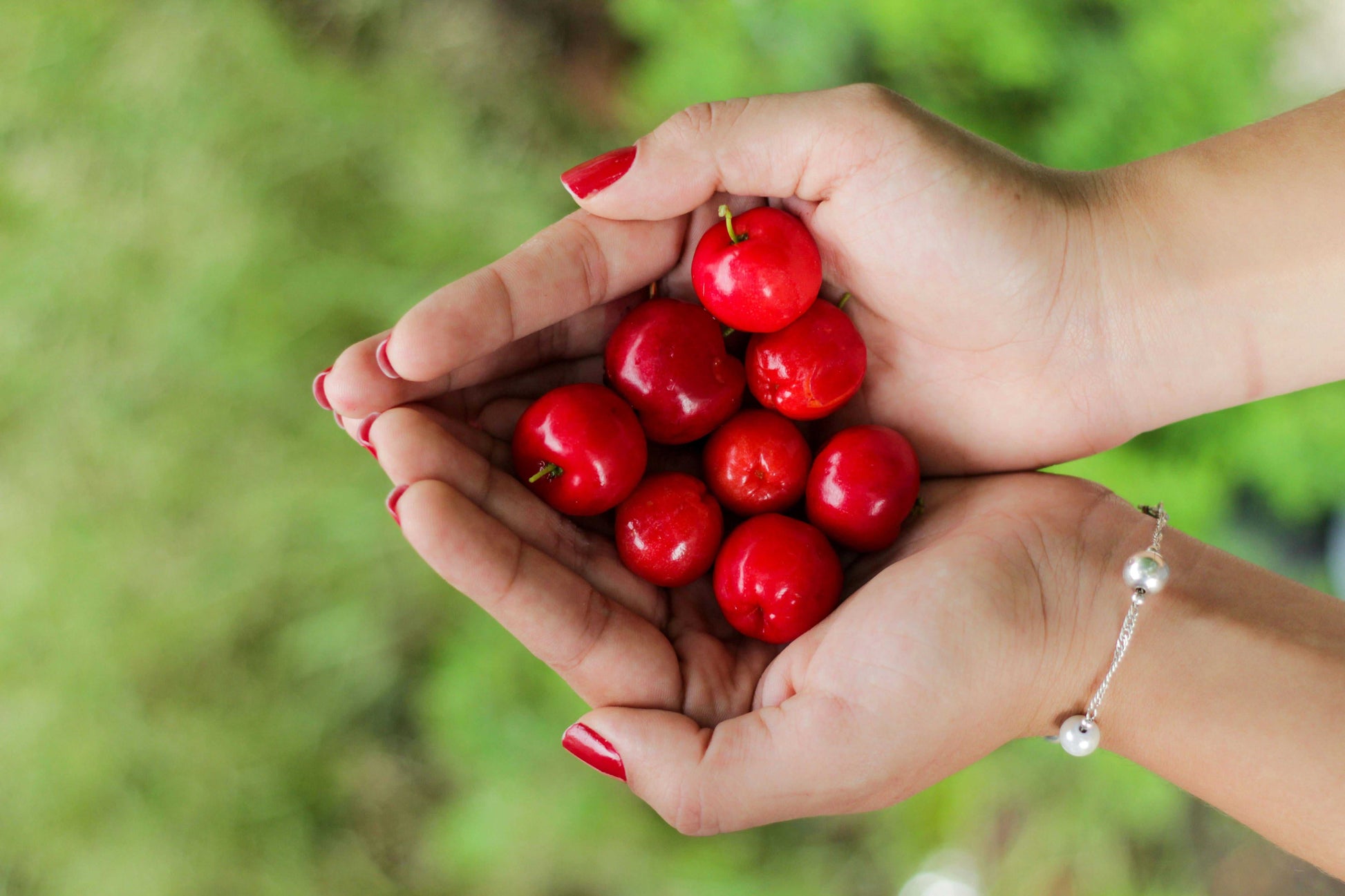 Acerola Powder